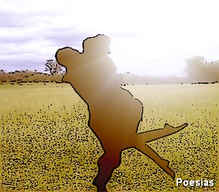 Poema 'Doce Senhorita' | Autor: Frankzeffi, Caminhando Feito Louco, N&atilde;o Me Arrebento nas Pedras da Rua, Porque Algo Ainda me Segura