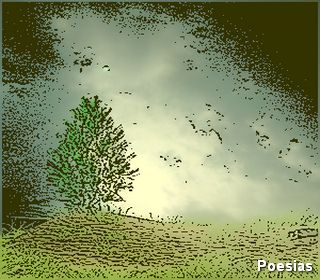 Poema 'Insano' | Autor: Robson Schneider, &Agrave;s Vezes Eu Penso de Onde Vem Tantos Pensamentos, Que Julgo Estranhos e Toscos, Que Me Deixam Perprexos