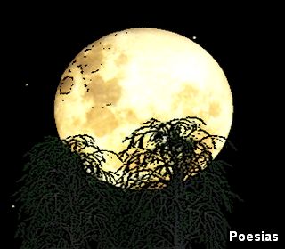 Poema 'Lua' | Autor: Frankzeffi, Lua, Todos Te Dizem Pura, S&oacute; Eu N&atilde;o, &Eacute;s Bela Sim, Por&eacute;m Sem Amor &Uacute;nico