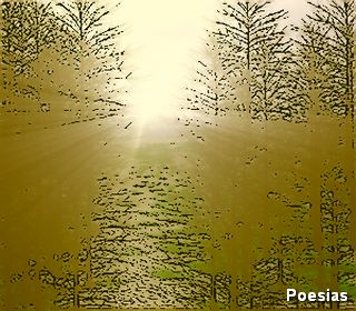 Poema 'T&iacute;mido Olhar' | Autor: Frankzeffi, Deixa eu Olhar, Num Longo Olhar a Terra, Pois Falam-me Muito do Mal, Falam-me Muito do Sofrimento