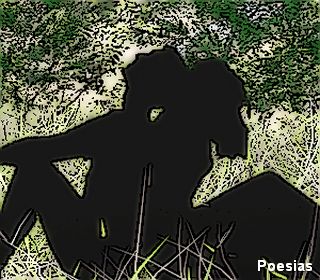 Poema 'Passion' | Autor: Robson Schneider, Eu Sou a Paix&atilde;o em Pessoa, Meus Desejos Ardem Dentro de Mim, Como uma Chama que Arde Sem Fim