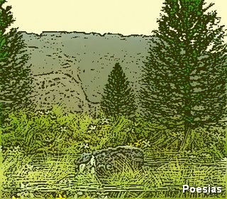 Poema 'Passado Presente' | Autor: Frankzeffi, N&atilde;o Machuque a Quem Te Deu a M&atilde;o, Porque Bem Sei Outras M&atilde;os Vir&atilde;o