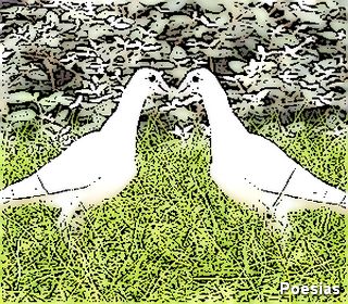 Poema 'Poeta Oculto' | Autor: Weslley Marchezan, J&aacute; &eacute; Madrugada, E Ele Ainda Est&aacute; Acordado Junto a Sua Amiga Caneta