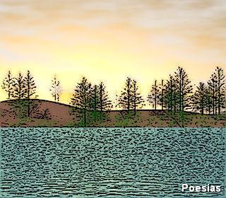 Poema 'Amor Rima com Dor' | Autor: Suania Sousa, Quase Me Esqueci Que Amor Rima com Dor E Quando Percebi Ja Era Tarde Demais Para Voltar Atr&aacute;s Voc&ecirc; Apareceu