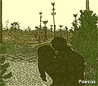 Poema 'Rosinha' | Autor: Frankzeffi, Rosinha, Nome de Virgem de Ro&ccedil;a, Rosinha no Campo, Flor Pura, Menina Bela, Menina Feliz